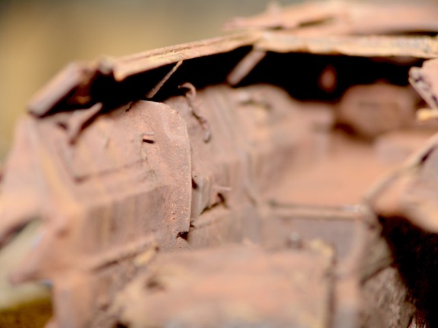 DSC02935сы (4).JPG